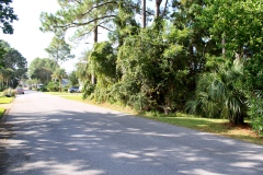 0030-Street-view-right